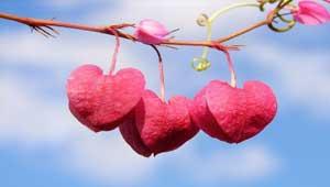 à´ªàµà´°à´£à´¯à´¤àµà´¤à´¿à´¨àµà´±àµ† à´‰à´±à´µà´¿à´Ÿà´‚